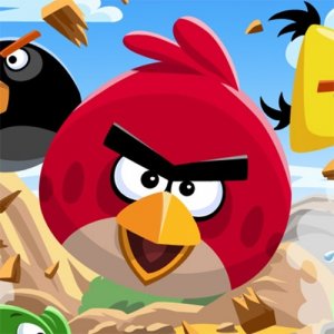 Feathered Friends Puzzle Challenge